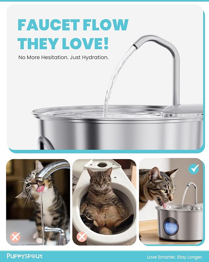 Fuente de Agua para Gatos Puppyspout 3.2L Acero Inoxidable con Filtros miniatura 4