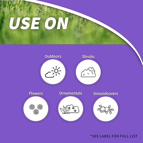 Miniatura 2 de Bonide 7458Asesino de pasto concentrado, 8 onzas., 1