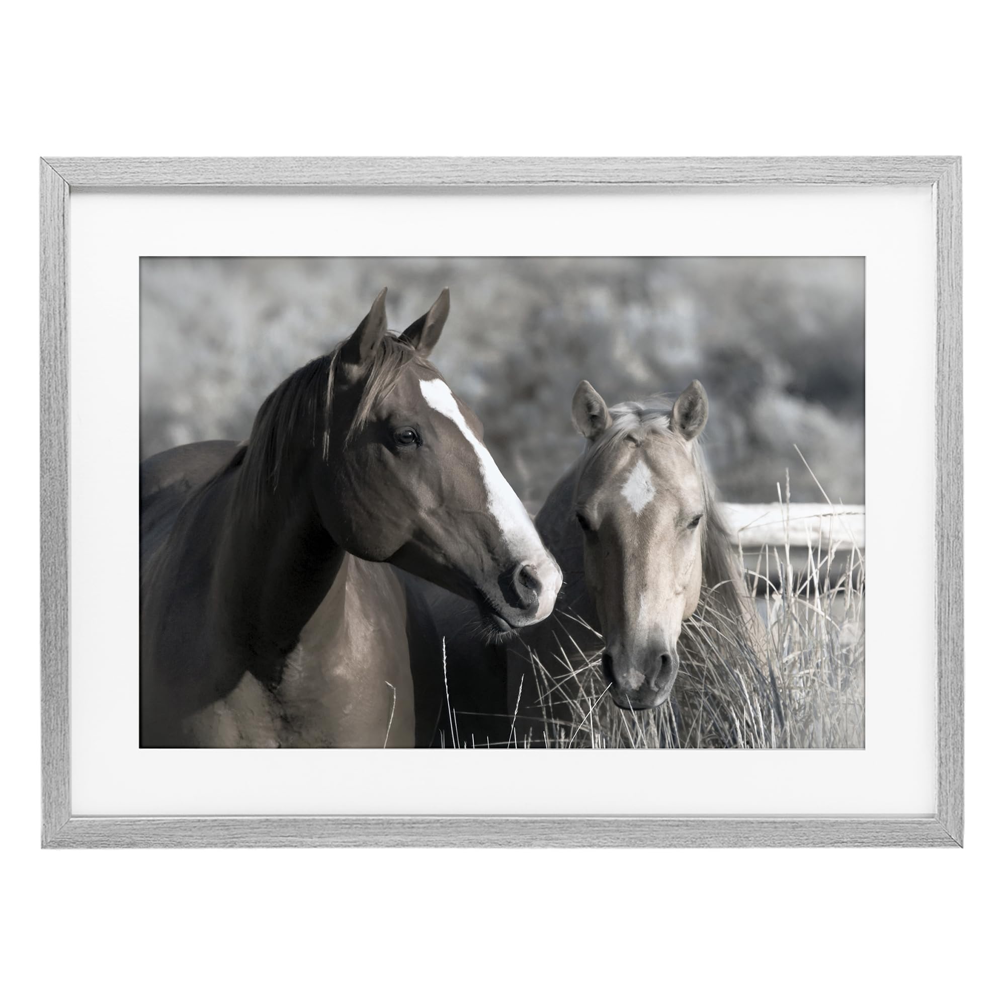 'Content Horses In Pasture'| Framed Print Under Glass