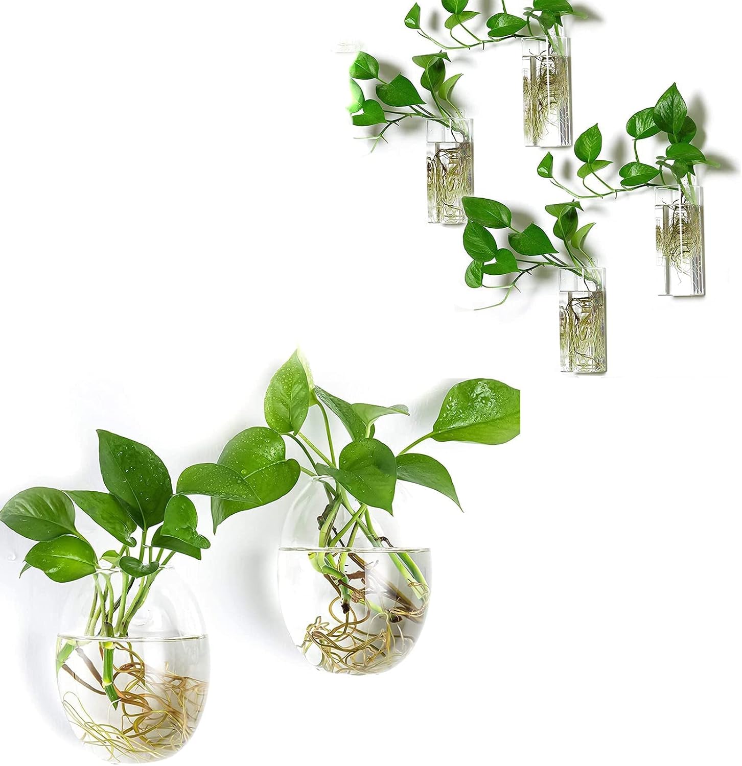 Kingbuy Wall Hanging Glass Planter Flower Vase Plant Propagation Station for Hydroponic Plants Home Office Garden Decor - 2 Egg Shape Plant Terrarium and 4 Square Shape Vase