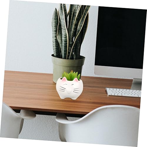 Miniatura 9 de Bonita maceta de cerámica con diseño de gato para decoración de suculentas, transpirable, para cactus y violetas africanas, decoración de macetas