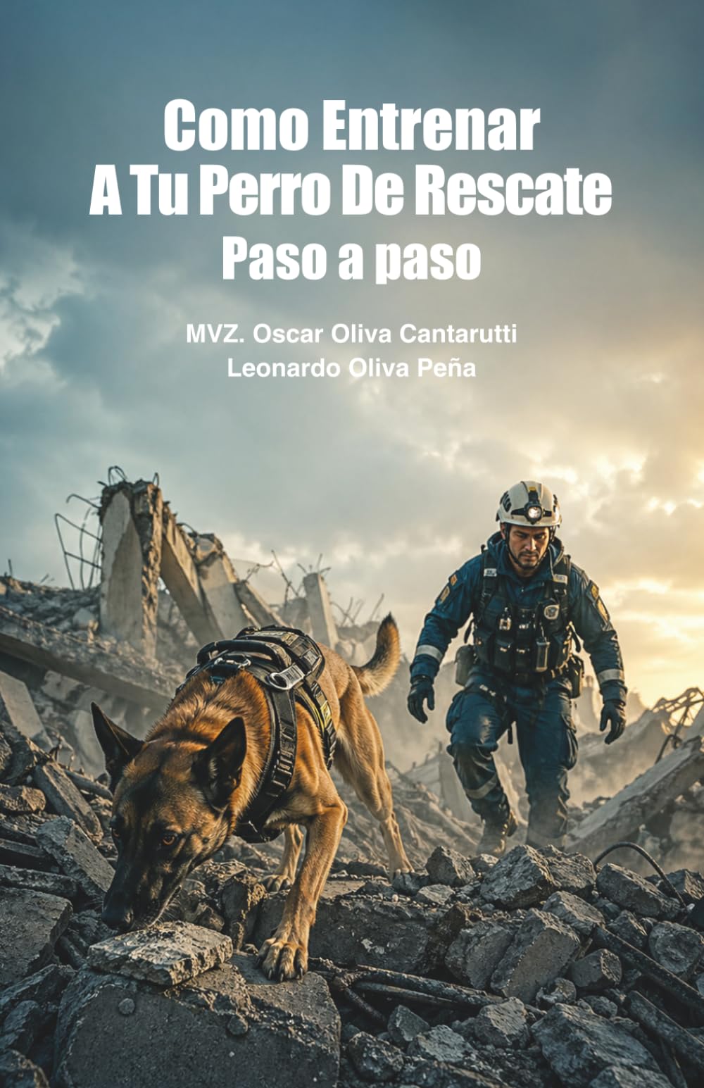 Cómo entrenar a tu perro de rescate: paso a paso
