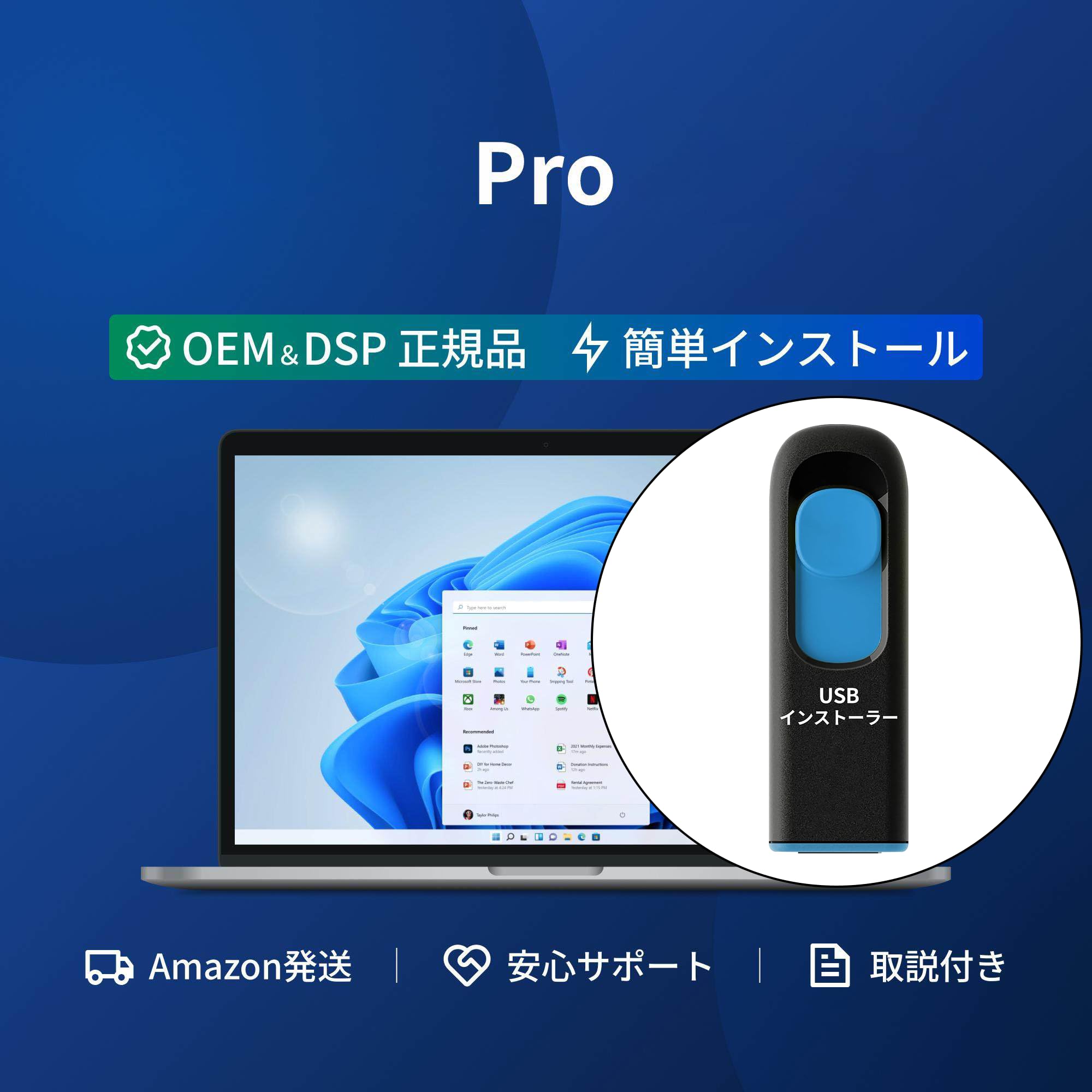 Amazon.co.jp: 【Windows11 Pro用】 DSPライセンス日本語版（USB