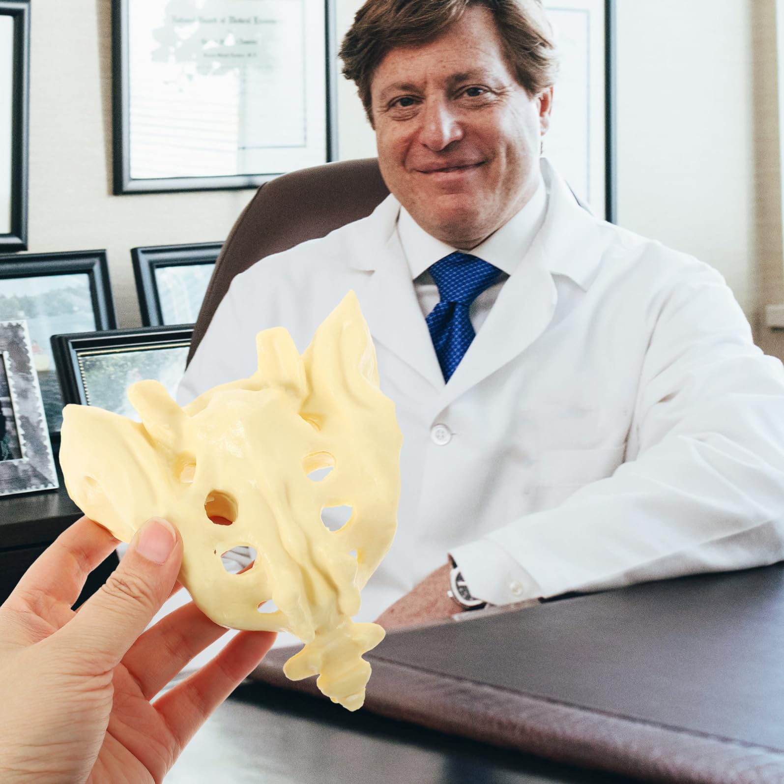 Operitacx Anatomico Sacro Umano Superficie Liscia in Pvc a Naturale Bianco per e Educativo