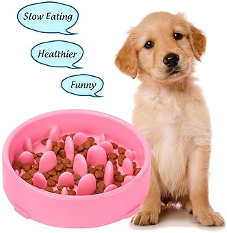 Explore Slow Feeder Bowls For Puppies Amazon Com