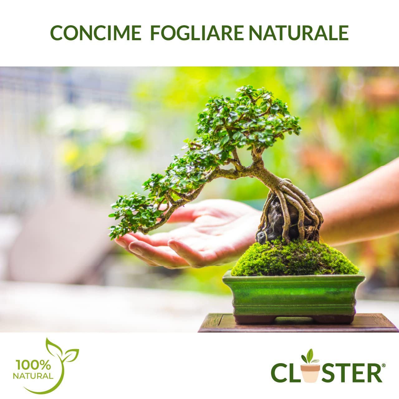 Bonsai Love Spray 500ML Listo para Usar - Fertilizante Líquido Natural para Bonsáis - Abono Orgánico con Nitrógeno y Algas Marinas - Para Bonsáis de Interior y Exterior