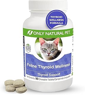 Thyroid And Kidney Disease In Cats: What You Need Know | PetShun