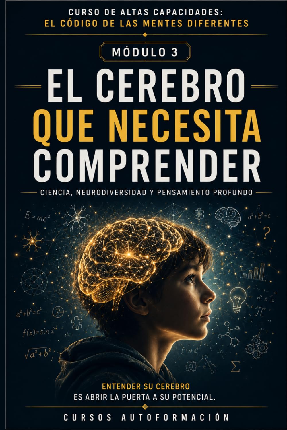 EL CEREBRO QUE NECESITA COMPRENDER: CURSO DE ALTAS CAPACIDADES: EL CÓDIGO DE LAS MENTES DIFERENTES (MÓDULO 3)