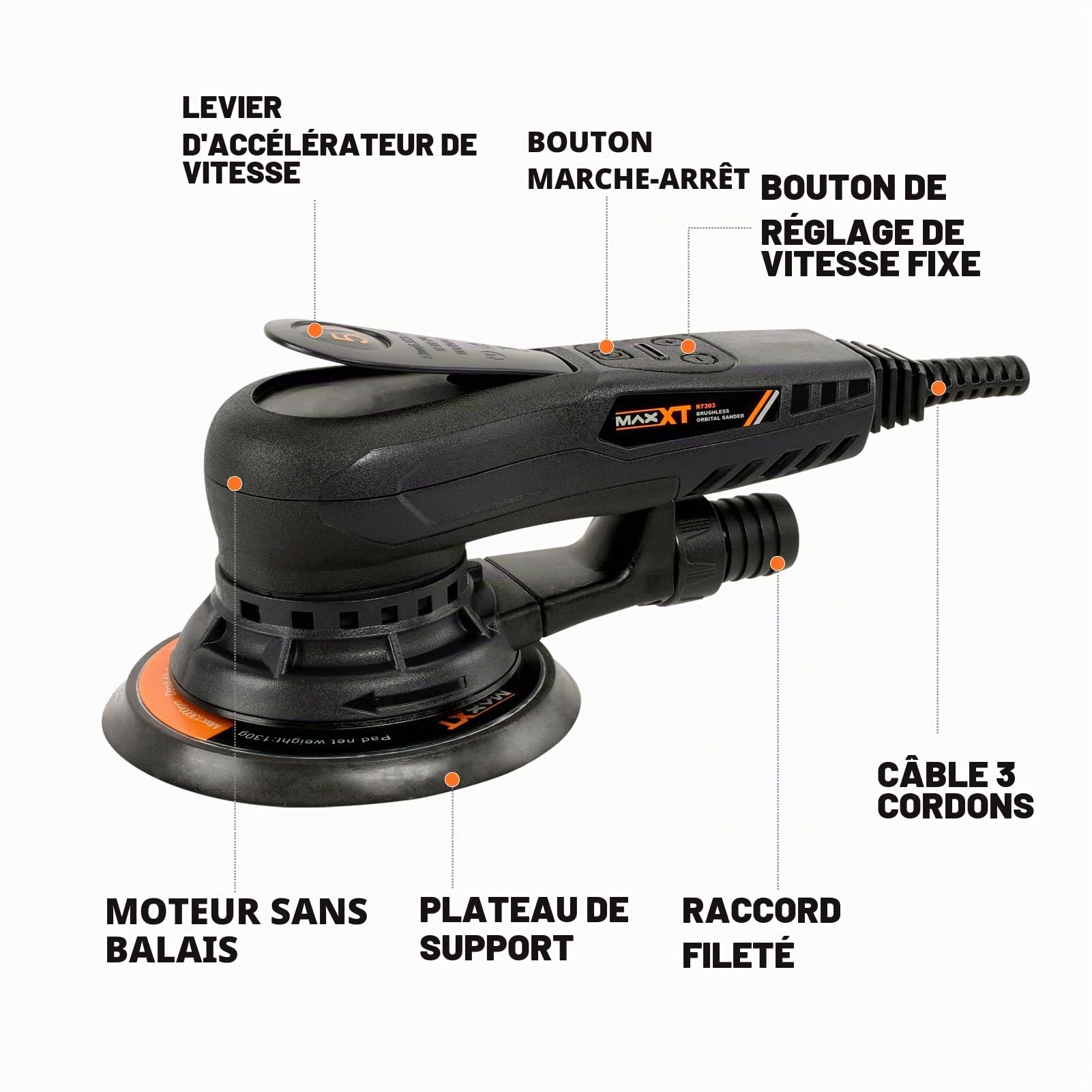 Ponceuse Excentrique Polyvalente MAXXT 230V : Pads de Soutien 125mm & 150mm, Ponceuse Électrique Sans Balai avec Vitesse Réglable, Parfaite pour les Surfaces en Bois
