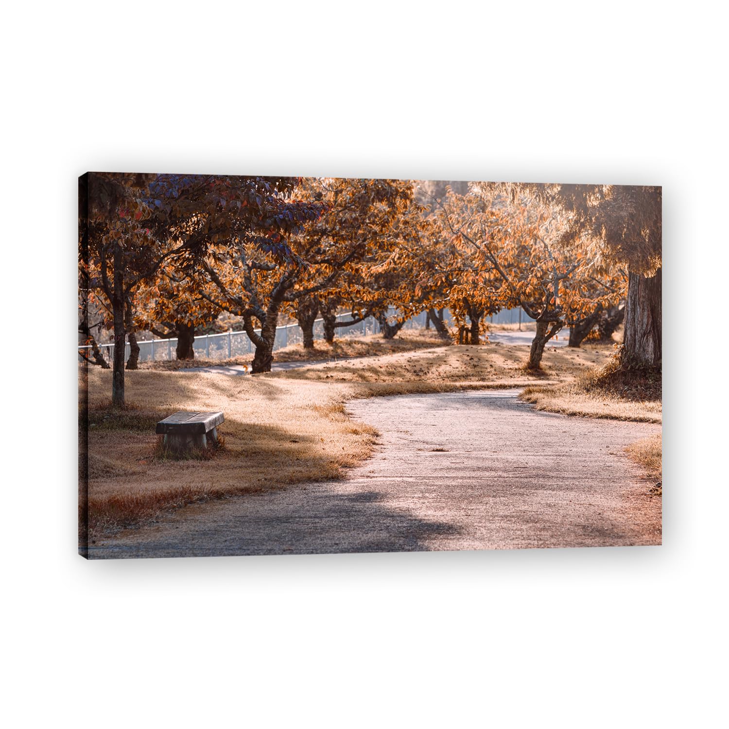 VHdfgTY WalkMountain Landscape Canvas Wall Art Nature Scenery Wall Decor for Home 30x45cm Framed