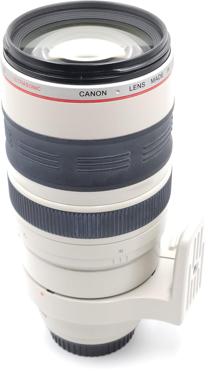 Canon EF 100-400mm f/4.5-5.6L IS USM Telephoto Zoom Lens for Canon SLR Cameras (Renewed)