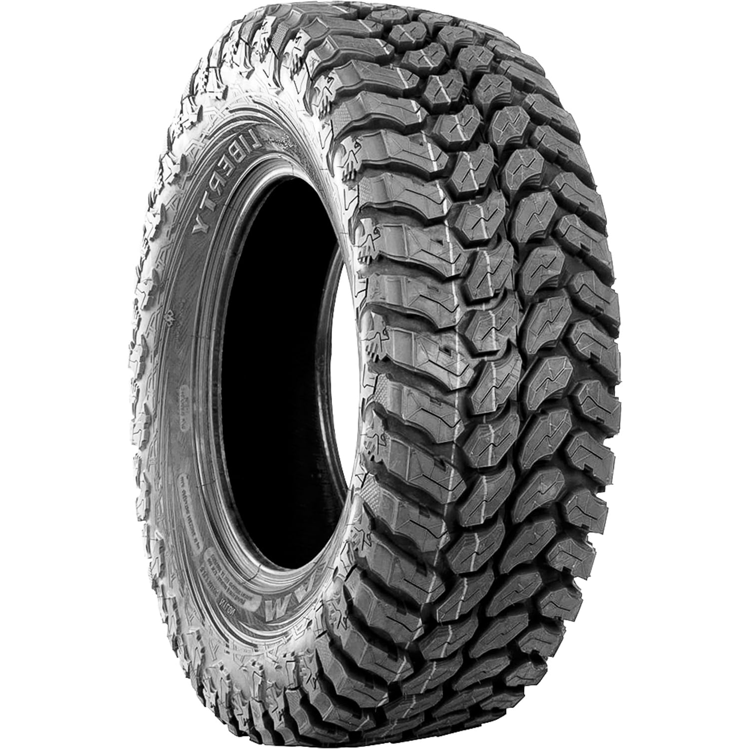 30X10R14 8PR ML3 LIBERTY FRONT/REAR MAXXIS RD : Amazon.ca: Sports