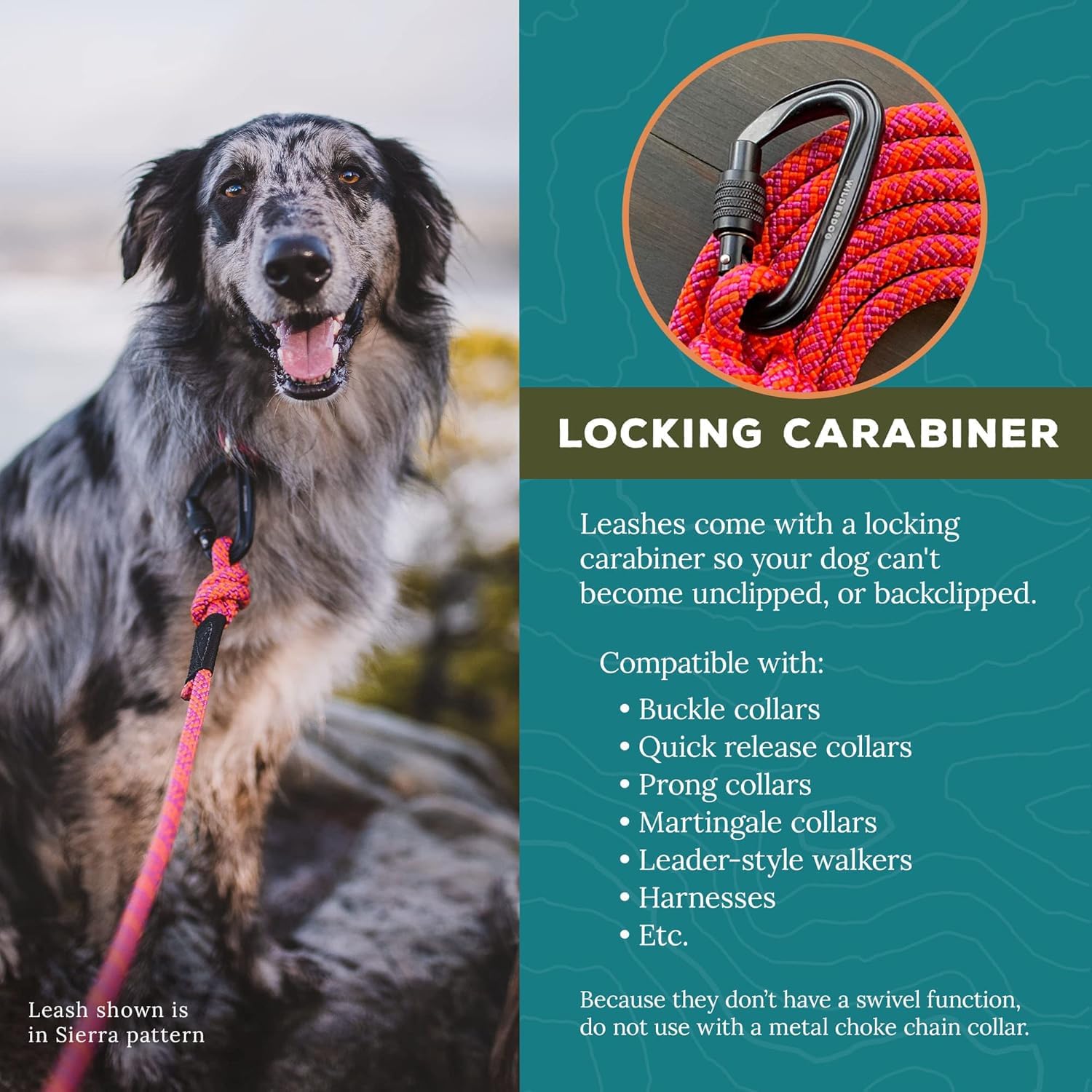 Wilderdog Correa de cuerda de escalada con mosquetón para perros medianos y grandes, 10 pies, Sierra