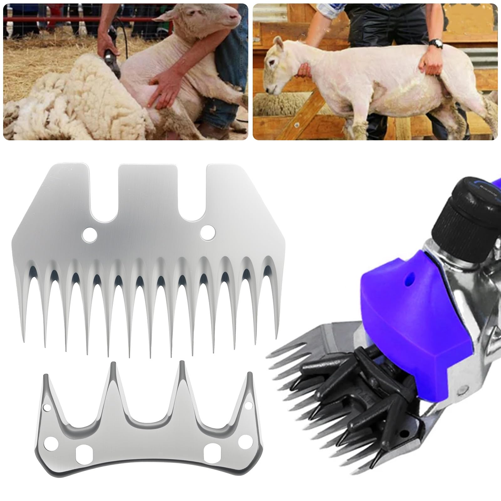 Lames droites 13T pour cisailler les moutons, les chèvres et les alpagas, lames de coupe de laine électriques amovibles en acier inoxydable