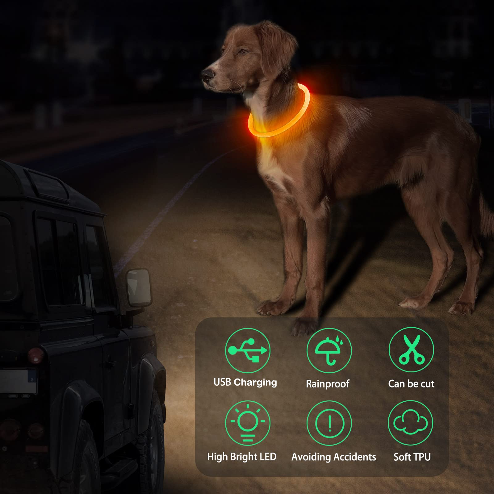 Leuchtende Hundehalsbänder, mehrfarbig, über USB wiederaufladbar, Dlitk LED-Hundehalsband, 1 Stück, TPU, schneidbare Größe, leuchtendes Halsband für Hunde, Hundehalsband für große, mittelgroße und