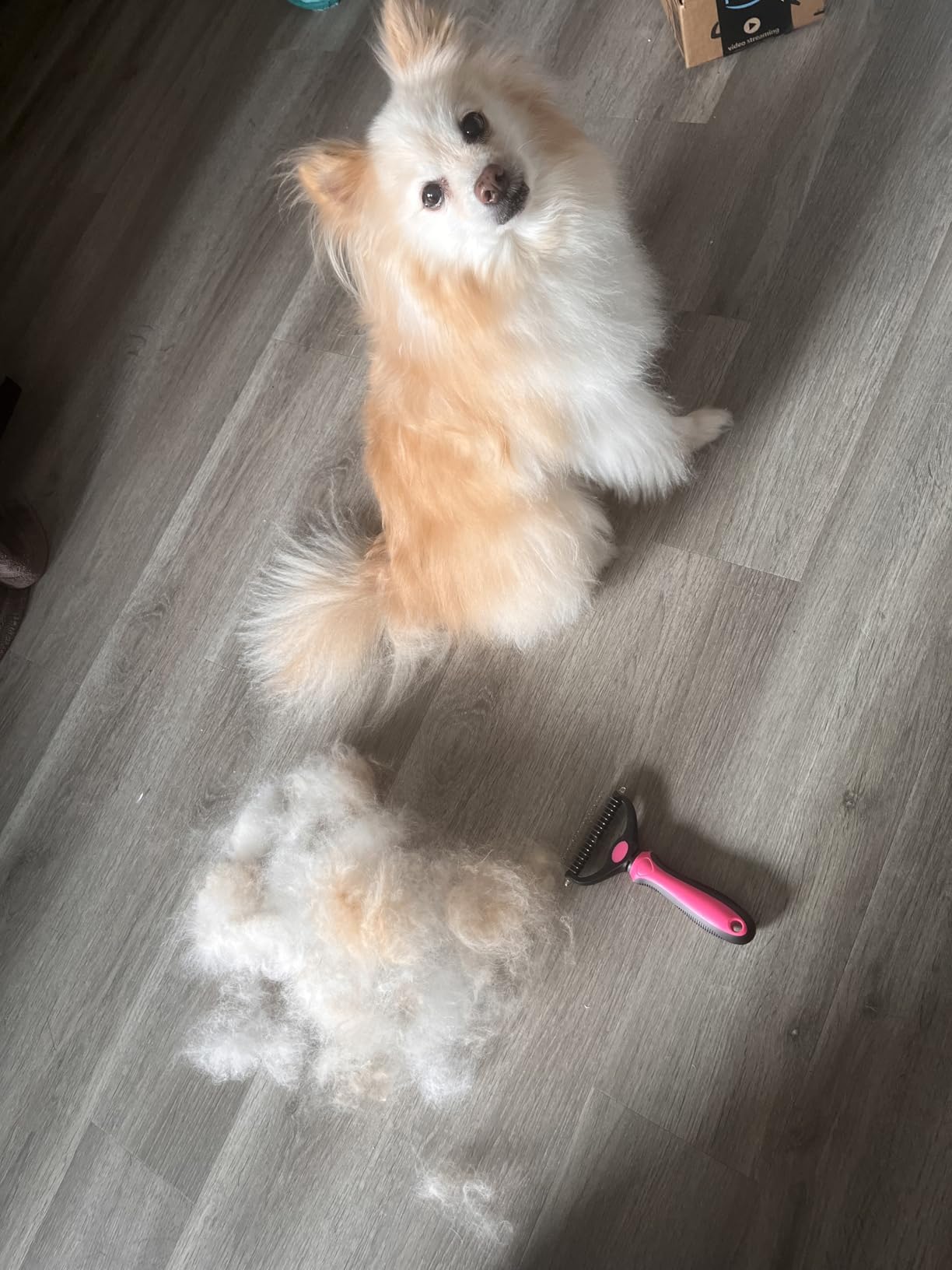 Good for double coats