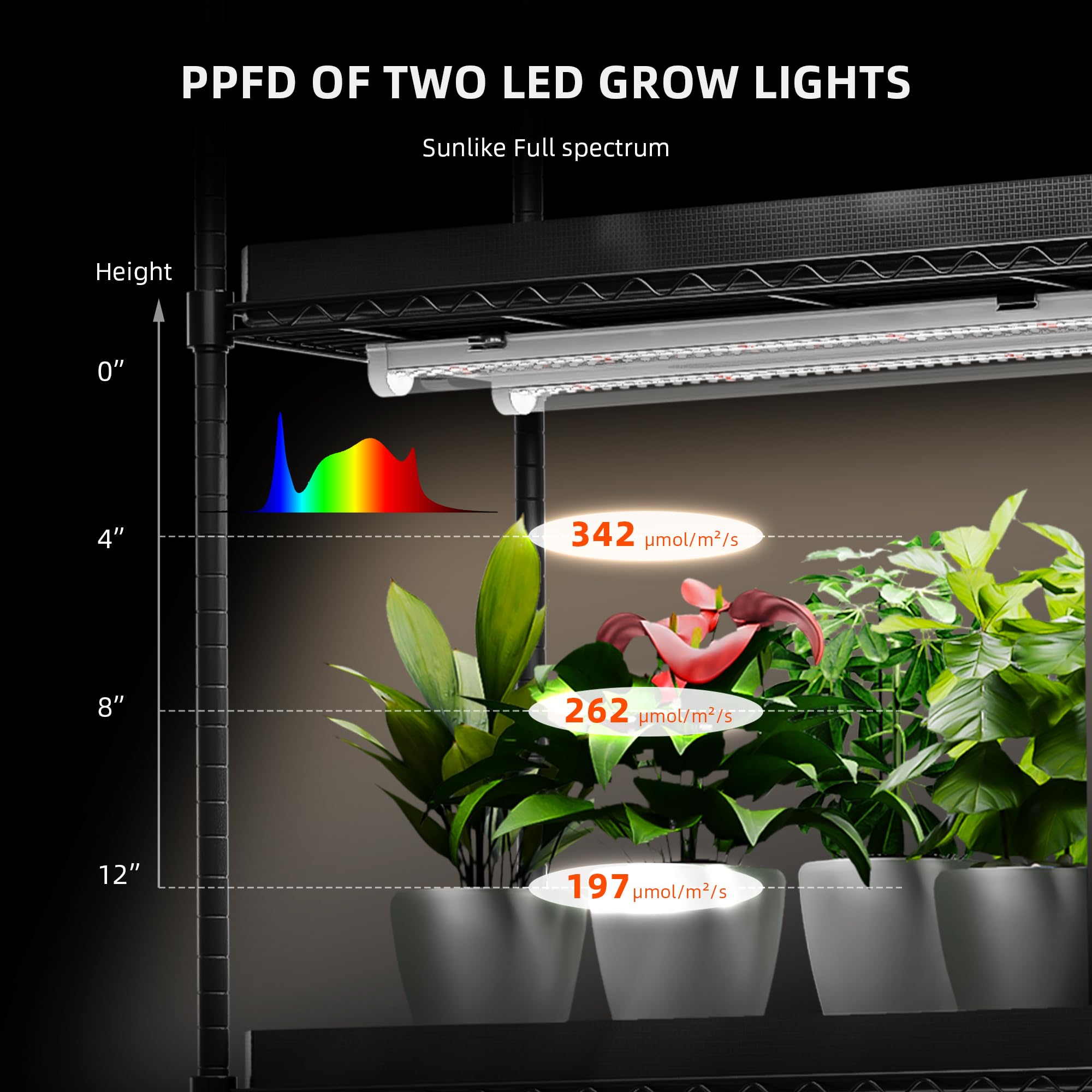 Spider Farmer Lot de 8 lampes LED pour plantes d'intérieur - Spectre complet (3000 K + 5000 K + 660 nm) - 3 niveaux d'intensité - 200 W (8 x 25 W) - 1296 LED - Étanchéité IP65 - Design chaînable pour