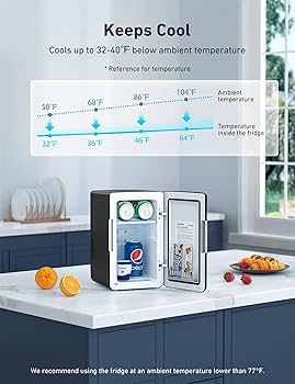 The Origin 専用 Amazon.com: AstroAI Mini Fridge 2.0 Gen, 6 Liter/8 Cans