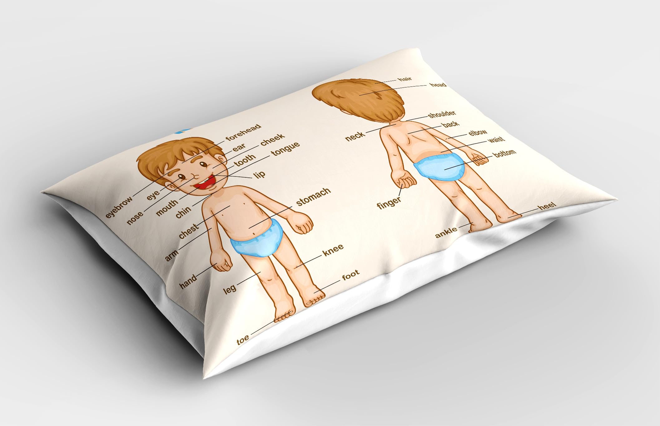 Ambesonne Science Pillow Sham Set of 2, Illustration of The Parts of The Body Names on Cartoon Boy, Quality Microfiber Bedding Item for All Seasons, 36