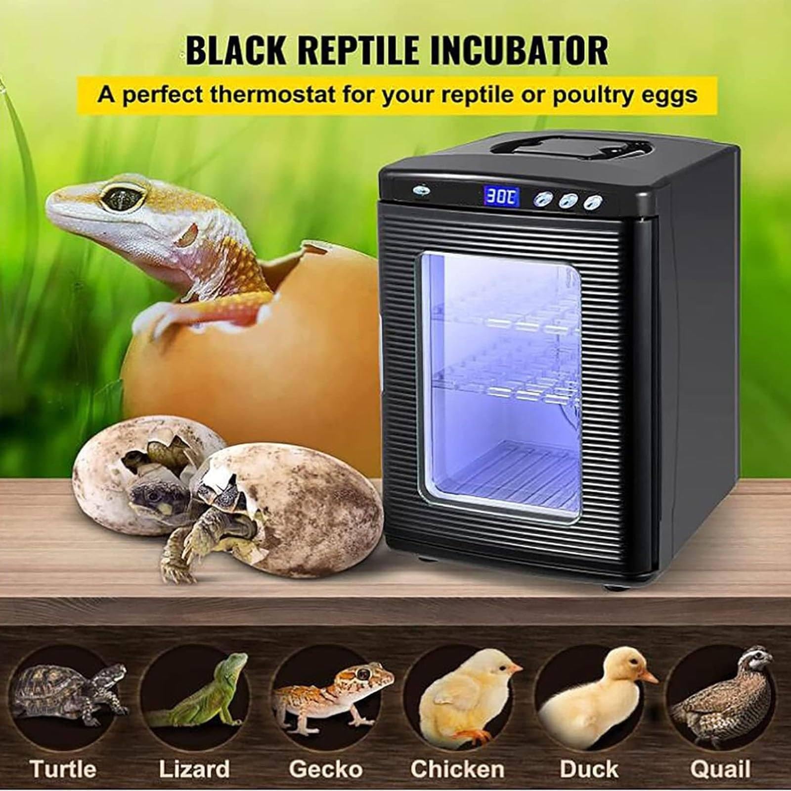 Incubatore per rettili da 25 Litri, incubatore Portatile da Laboratorio scientifico, LED Digitale e Illuminazione, per Piccoli rettili Camaleonte Lucertola Tartaruga