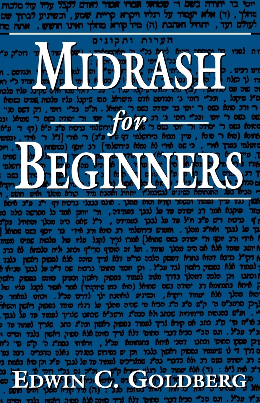 Midrash for Beginners by Edwin C. Goldberg - 9781568215990