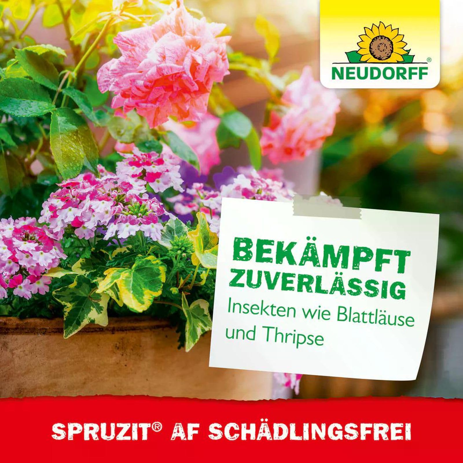 6 X 250ml Spruzit Schädlingsfrei AF
