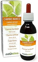 White Hornbeam (Carpinus Betulus) Non-Alcohol Gemmoderivato from Fresh Buds Naturalma - Liquid Extract Drops 120 ml - Food Supplement - Vegan