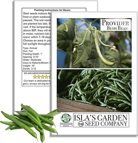 Provider Bush - Semillas de frijol verde (Phaseolus vulgaris) - Más de 30 reliquias sin OMG de Isla's Garden, variedad de cosecha temprana con