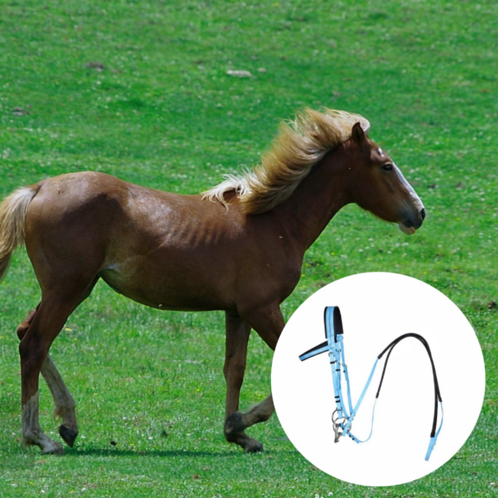 Brida de Caballo con Correas de Dirección Diseño Antideslizante Juego Arnés Cabeza Correas Dirección Acolchado Arnés Rienda Ajustable, Rosa