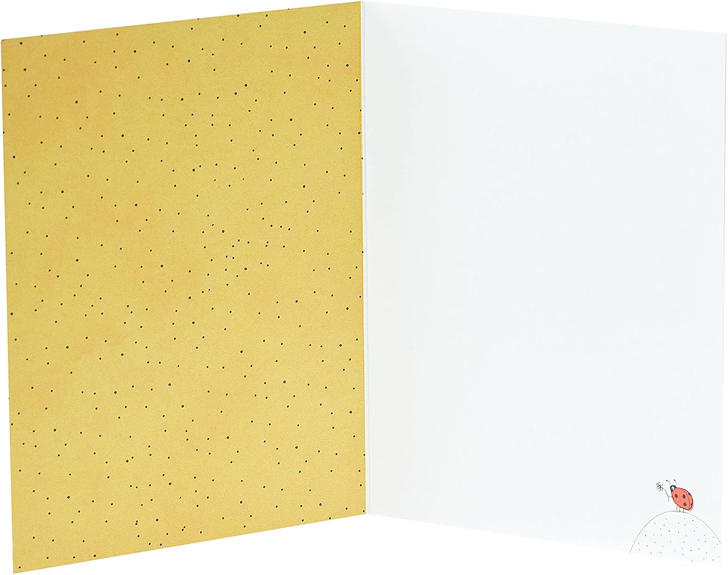 Kindred - Big Thanks - Thank You Card, White, 117mm x 157mm - Image 4