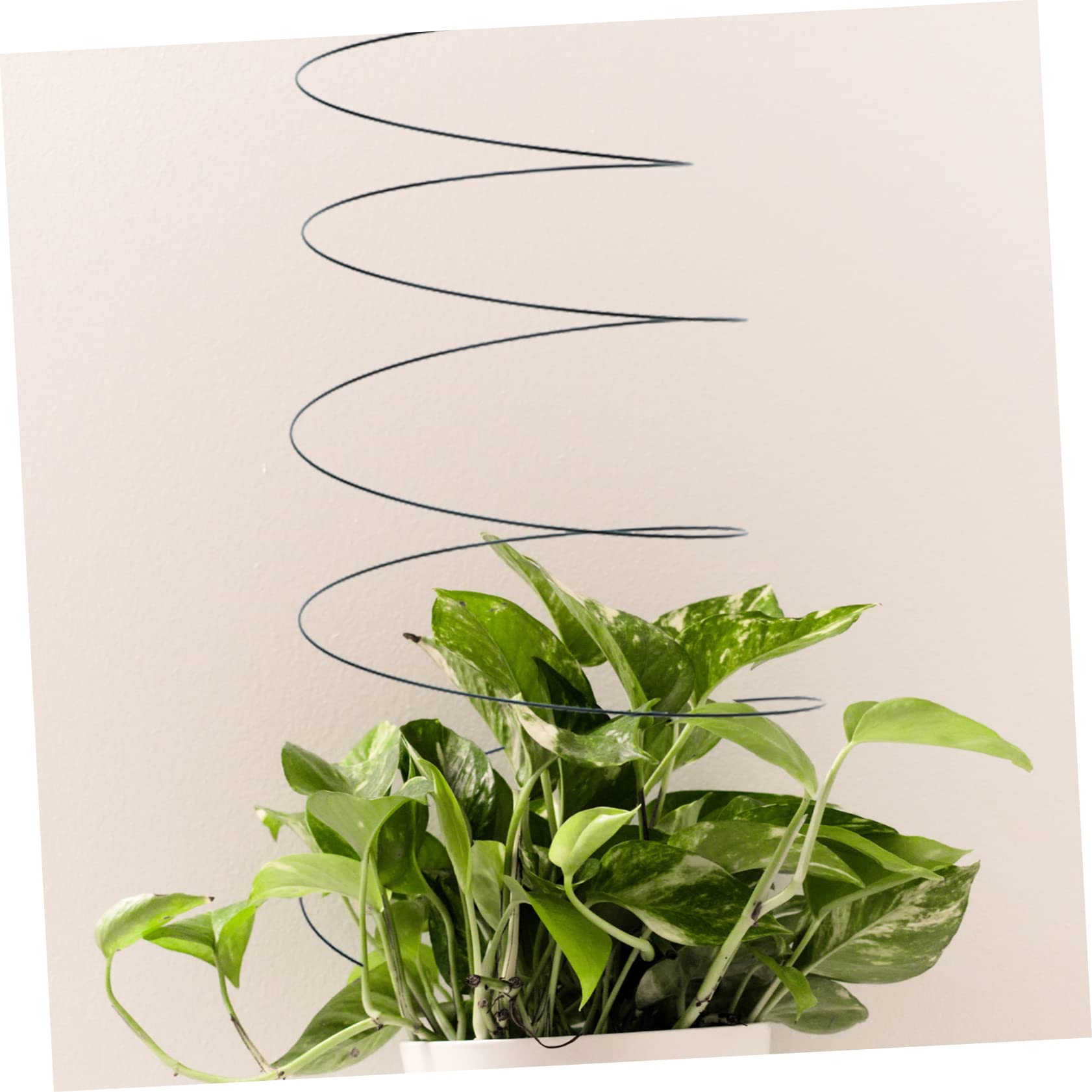 INOOMP Lot de 2 Tuteurs à Tomates Spirales en Acier Inoxydable, Réutilisables et Robustes, pour Jardin, Support de Tige de Plante