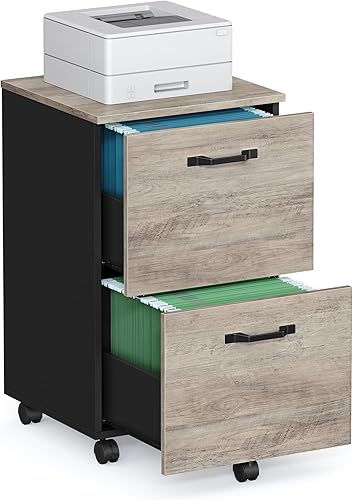 VASAGLE UOFC040B02 - Archivador de 2 cajones para oficina en casa, soporte moderno, rodante y pequeño para impresora, para archivos A4 y tamaño