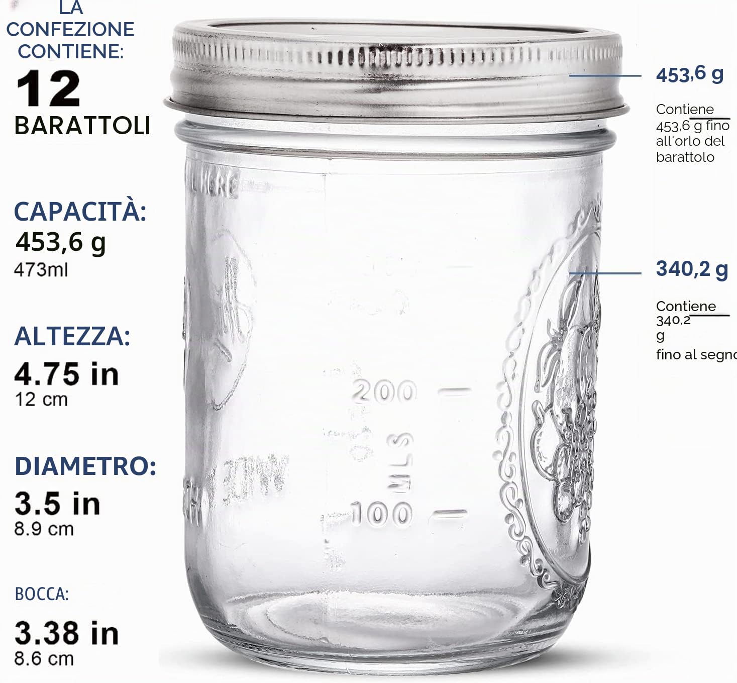 Tebery Confezione da 12 barattoli con tappo a vite per conserve, congelare, conservare, bere e decorare barattoli, 16 once (470 ml)