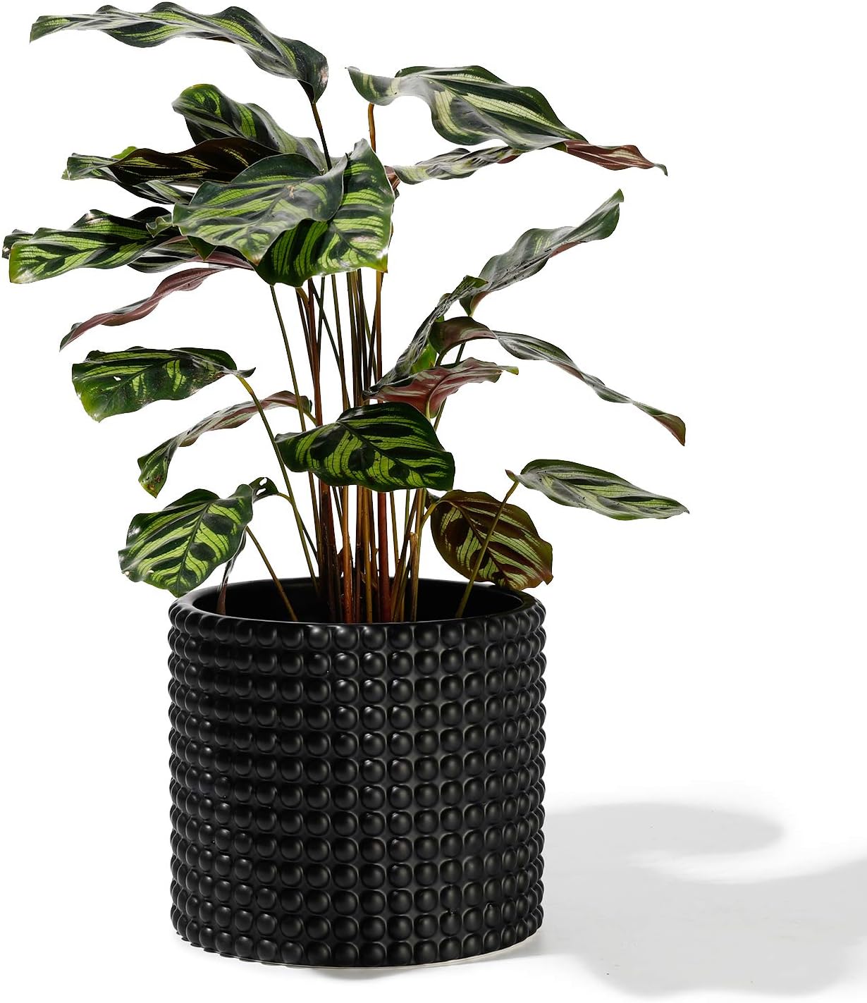POTEY Black Planter Pots for Plants Indoor - 6.1 Inch Ceramic Vintage-Style Hobnail Textured Flower Pot with Drainage Hole for Modern Home Decor 055101, Plants NOT Included