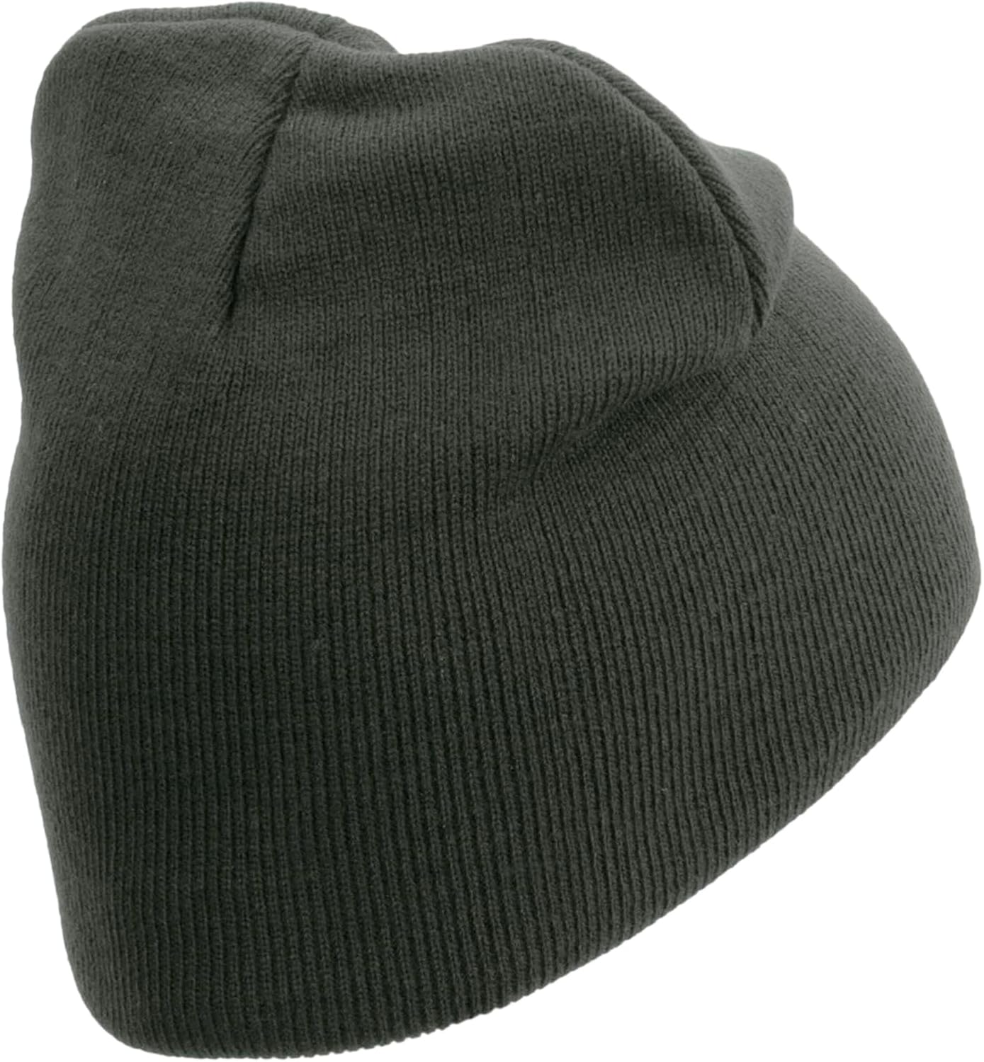 e4Hats.com 18th Airborne Corps Veteran Embroidered 8 Inch Knitted Short Beanie