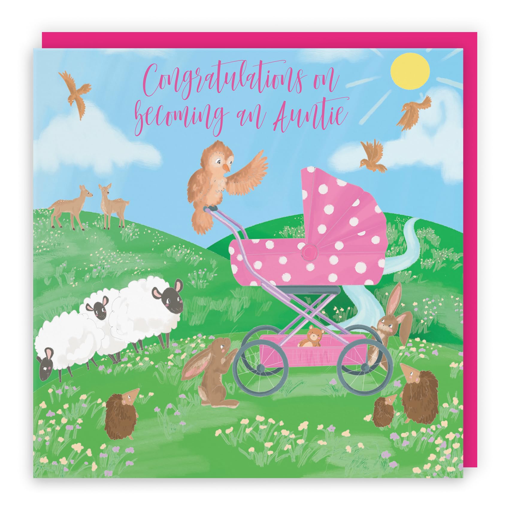 Hunts England, New Auntie Congratulations Cute New Baby Card, Congratulations On Becoming An Auntie, Newborn, Pink Pram