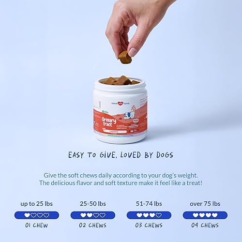 Miniatura 7 de Arándano para perros 90 masticables suaves Apoyo del tracto urinario, salud de la vejiga, infección urinaria del perro, cálculos en la vejiga,