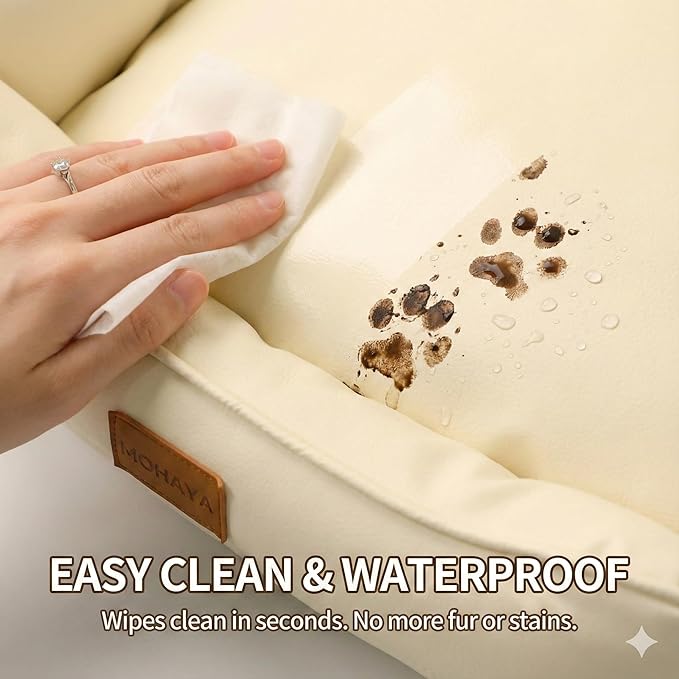 Cama Sofá Ortopédica para Perros Pequeños con Bordes de Sopo miniatura 3