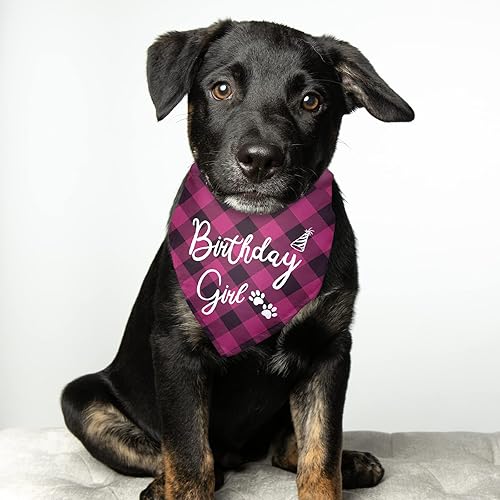 Miniatura 4 de Pañuelos de cumpleaños para niña, para perro, cumpleaños, niña, feliz cumpleaños, bandana para niñas, accesorios de fotos, suministros de cumpleaños