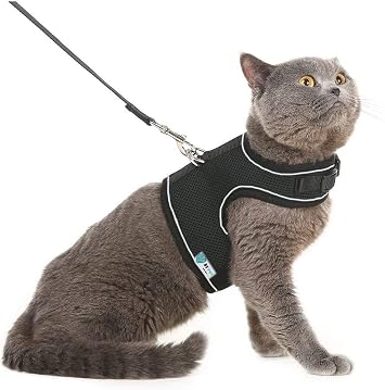 BYPET Yeni Nesil Nefes Alabilen Kedi G s Tasmas  Seti Small, Siyah [Enerji S n f  A+]