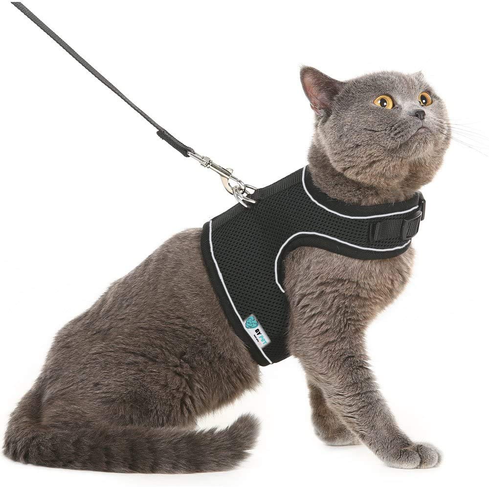BYPET Yeni Nesil Nefes Alabilen Kedi Göğüs Tasması Seti (Small, Siyah)