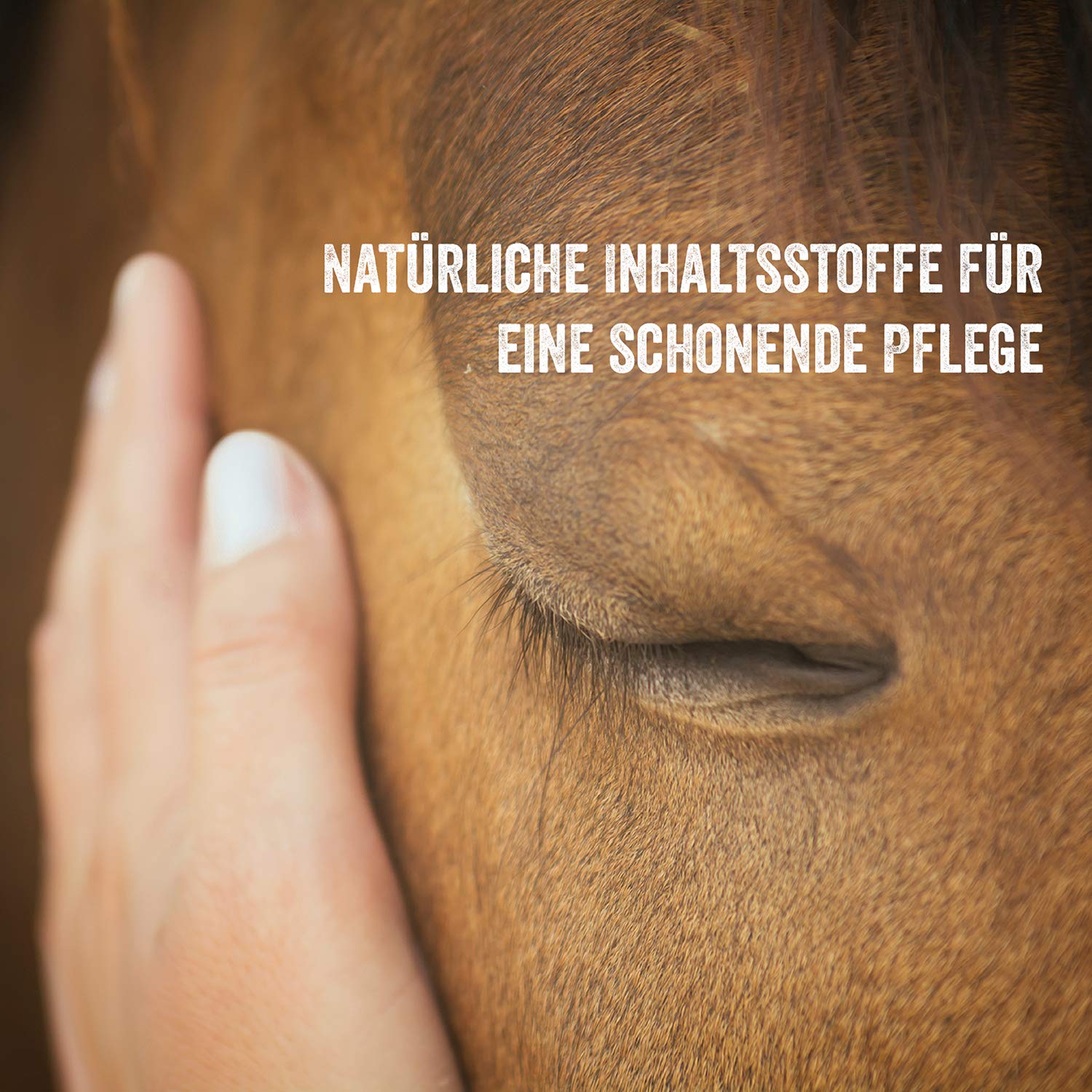 Martenbrown® fúngica Ex extracto de agrimonia para bacterias y hongos en caballos, burros y perros de hepáticas seta caballo extracto (5 litros)
