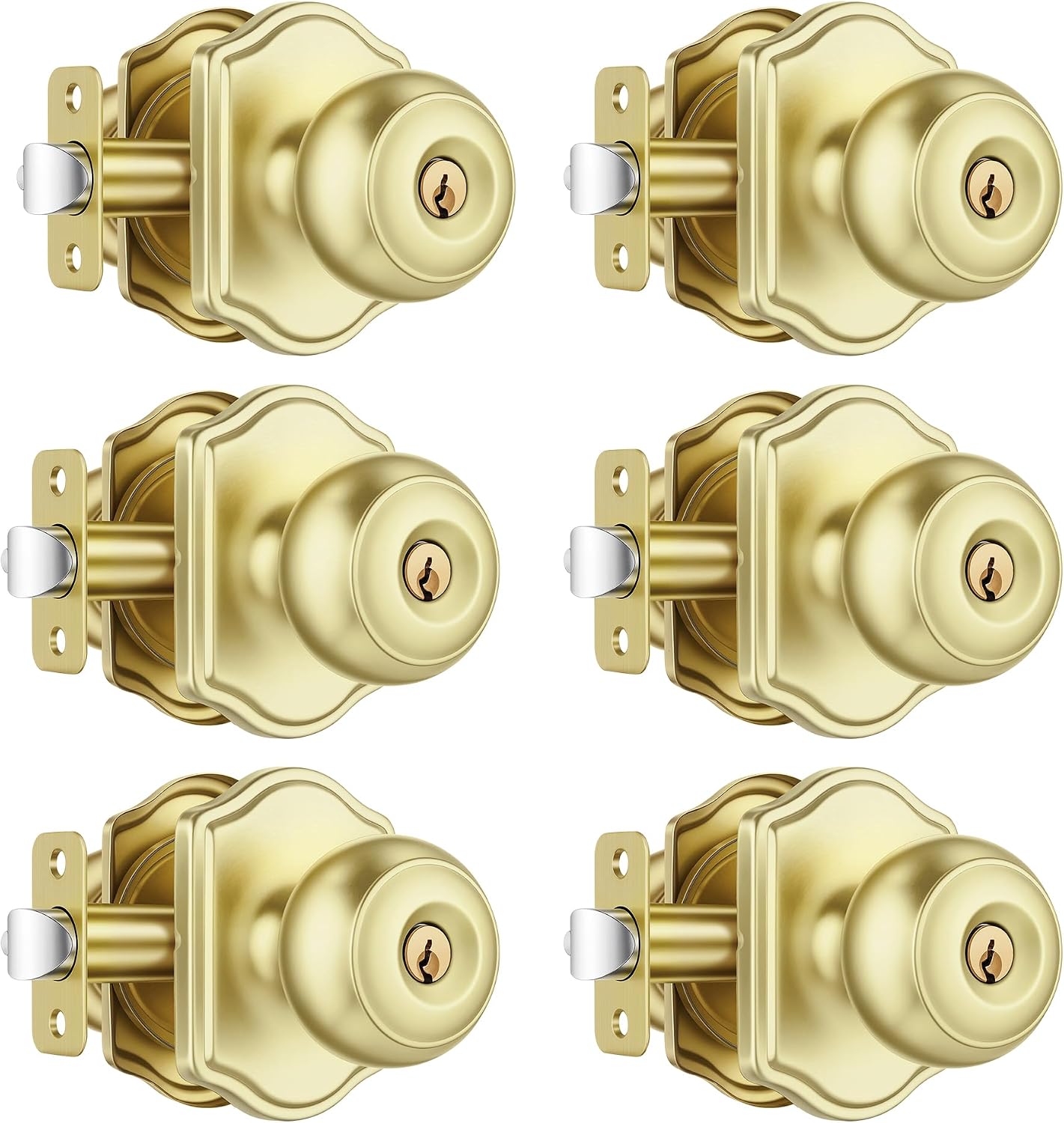 Leydebong 1 Pack Keyed Entry Door Knob with Lock, Interior and Exterior Door Lock, Keyed Alike Lockset, Easy to Install for Front & Back Doors
