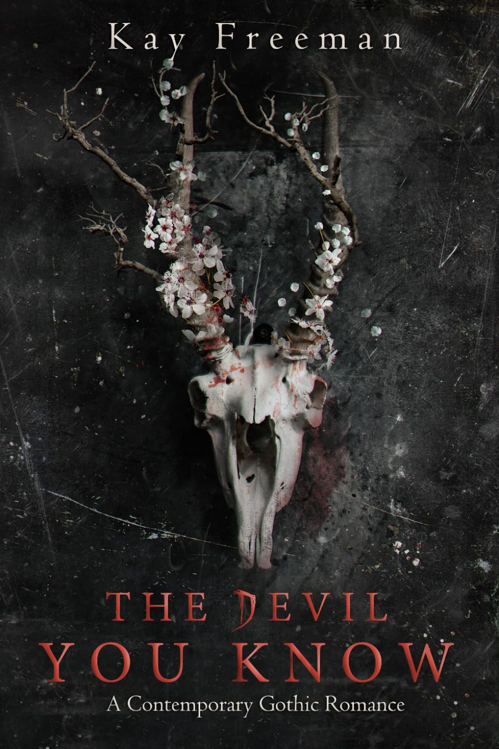 The Devil You Know: A Contemporary Gothic Romance (The Devil Chronicles)