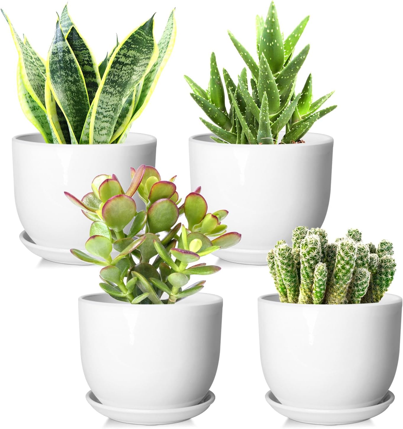 8 Inch Ceramic Planter, Plant Pots with Drainage Hole and Separable Saucer,Indoor-Outdoor Round Succulent Orchid Flower Pot,Indoor pots for Plants(Smooth White,Plant Pot only)