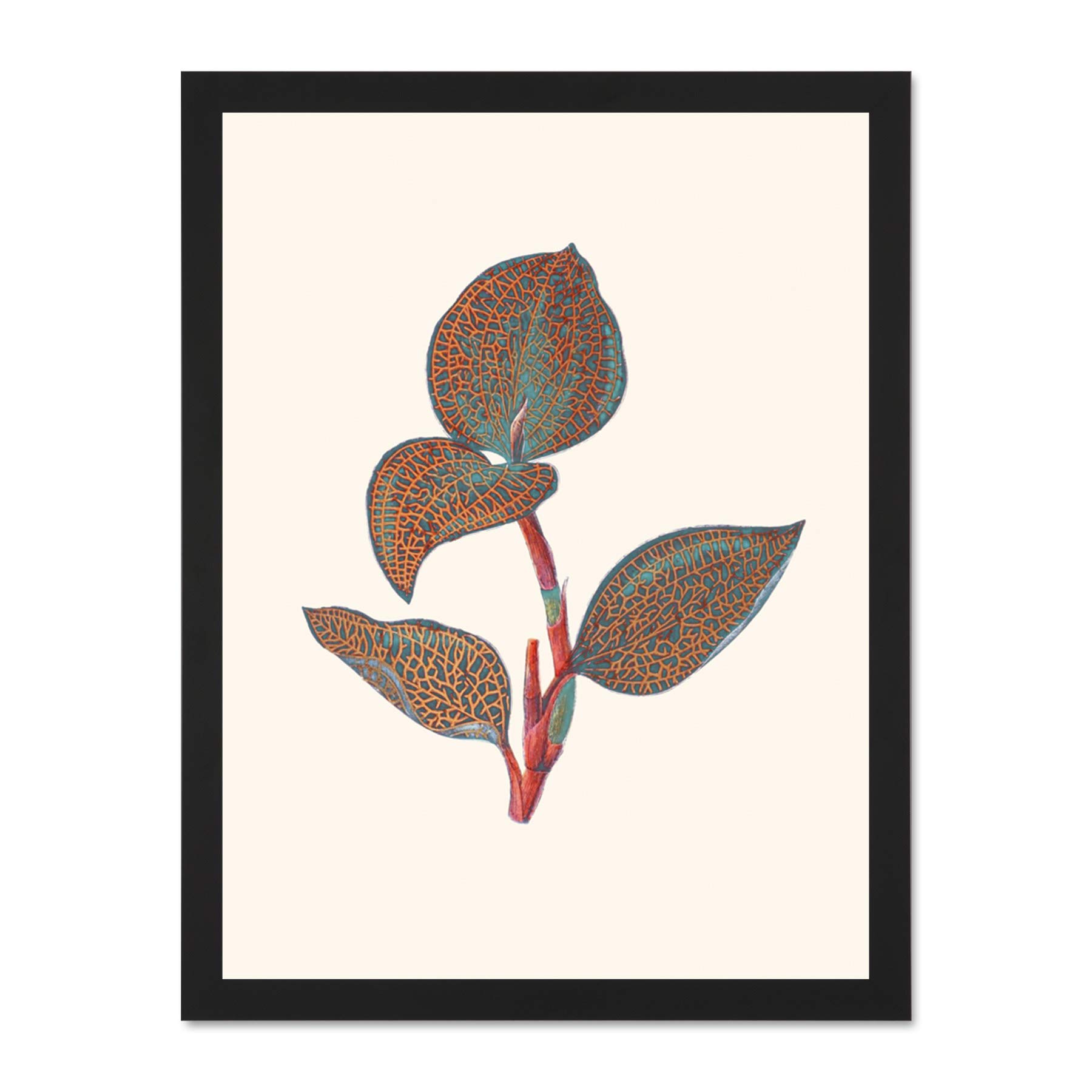 Wee Blue Coo Primary Coloured Exotic Flora Large Black Framed Art Print Wall Poster 18x24 inch