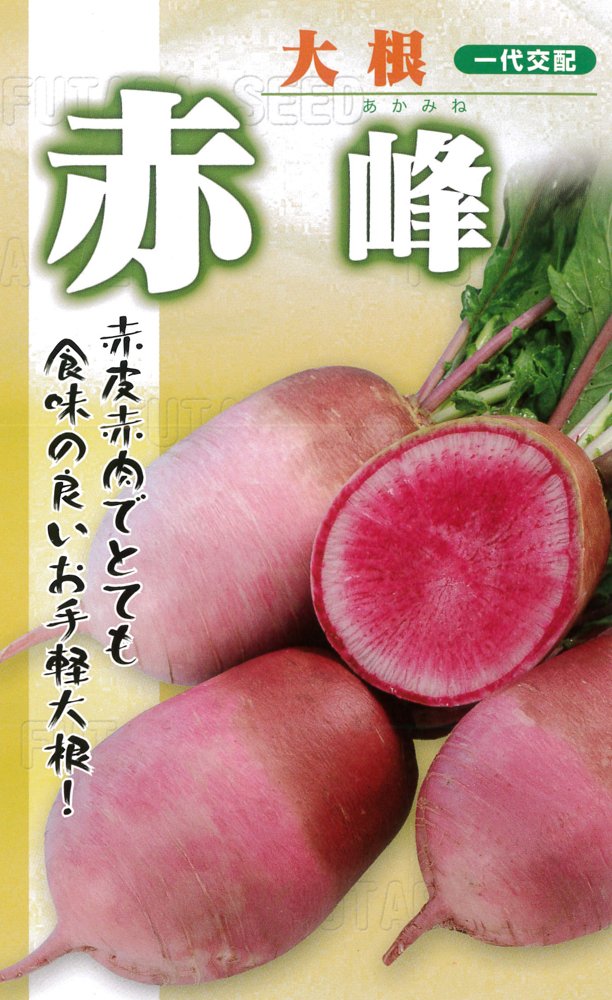 Amazon | フタバ種苗 【一代交配】 赤大根 赤峰 (だいこん) 種
