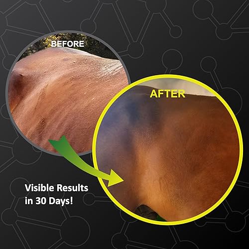 Miniatura 12 de SynNutra GastroMend (GastroMend - 600 dosis Bucket) 100% Natural