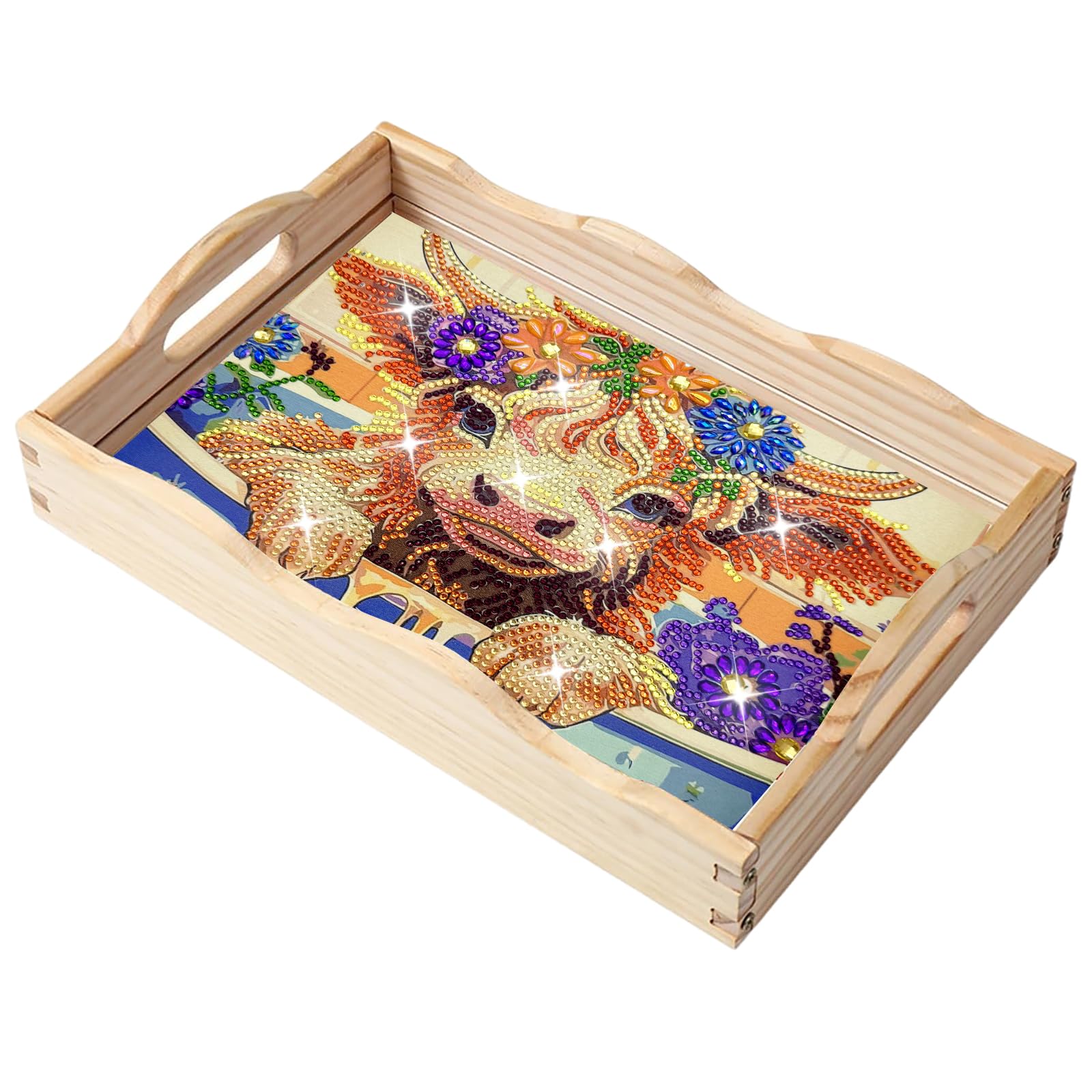 Plateau en bois diamond painting kits for adults idée cadeau DIY