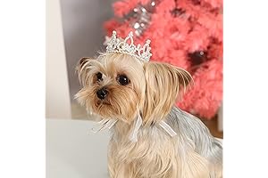 Lovelyshop Dog Tiara: The Regal Headpiece for Petite Pups